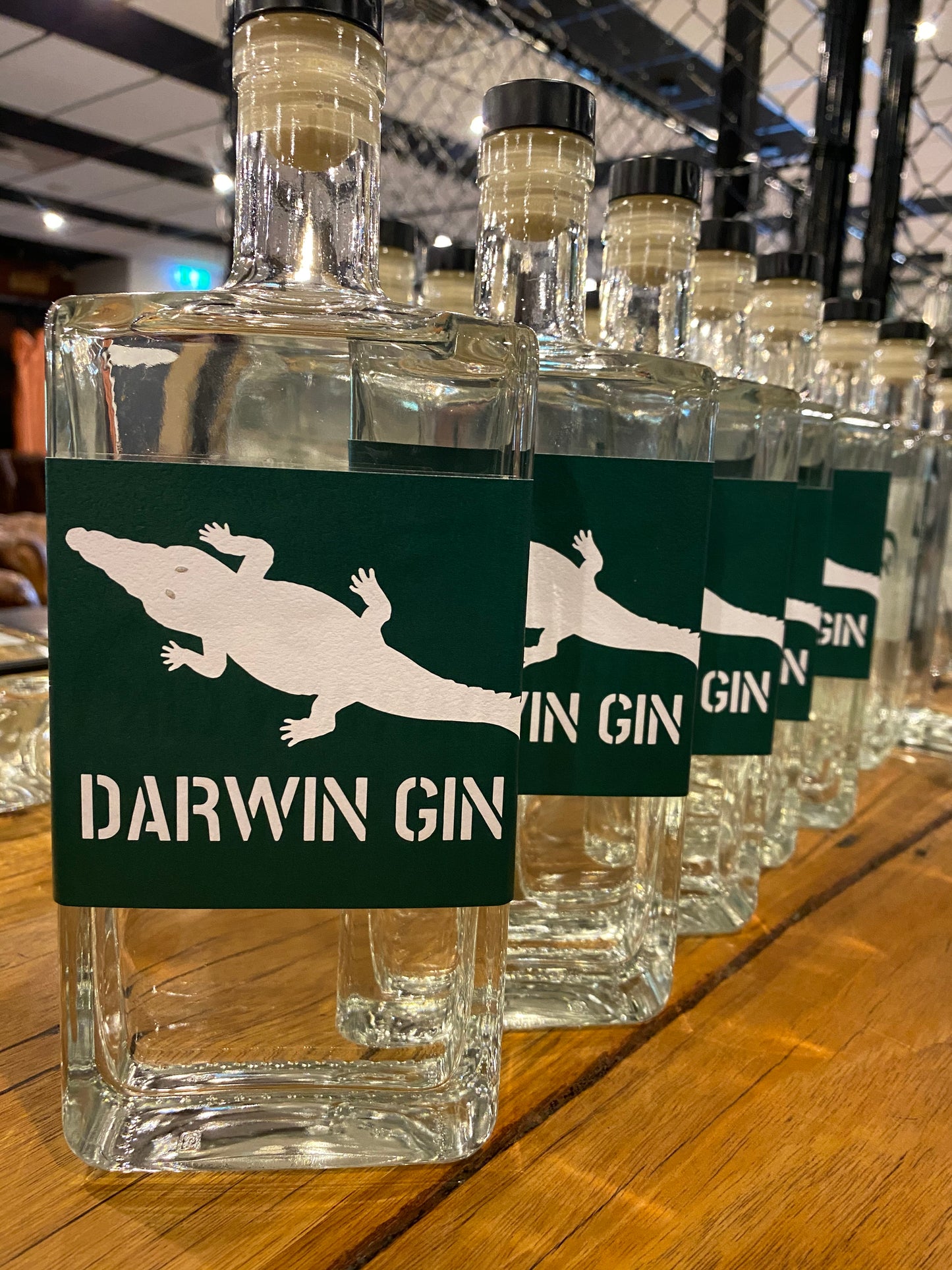 Darwin Signature Gin
